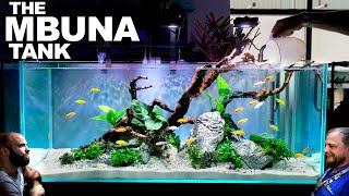 The Mbuna Tank EPIC 4ft FIRST TIME Aquarium Aquascape Tutorial [upl. by Nanni270]