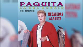 Paquita la del Barrio – La Noche De Mi Mal Visualizador Oficial [upl. by Kcirrad]