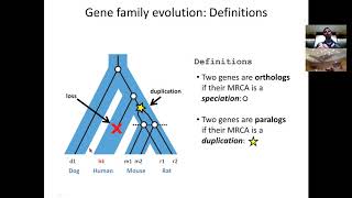 MIT CompBio Lecture 20  Phylogenomics [upl. by Vinnie]