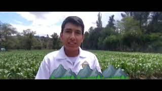 Agricultura sostenible y resiliente al medio ambiente [upl. by Ahterahs319]