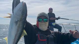 San Felipe Baja mexico fishing Golden reef [upl. by Kcirrad]