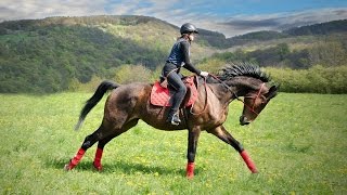 Epic full galloping GoPro extreme riding Best shots [upl. by Parhe]