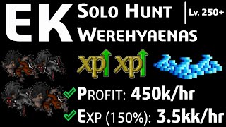 EK  Solo Hunt Werehyaenas PROFIT 450khr EXP 150 35kkhr post rebalanceo de vocaciones [upl. by Anayi]