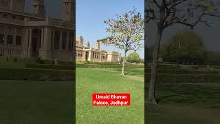 Umaid Bhavan Palace  Jodhpur [upl. by Abagael928]