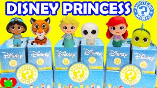 Disney Princess Mystery Minis Blind Boxes [upl. by Rhtaeh547]