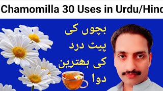 Chamomilla homeopathic medicine 30 Uses in Urdu Hindi  Dr Dilawar Hussain Mughal [upl. by Annabal]