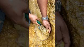 Crazy Hole😱😱‼️we got 10000 from this hole amazing gold discovery golddiscovery goldrush [upl. by Aynek]