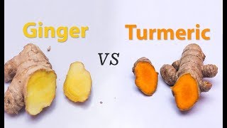 What are the Differences between Ginger and Turmeric [upl. by Gibbeon]