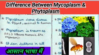 Difference between Mycoplasma amp Phytoplasma Mycoplasma और Phytoplasma में अंतर  Bsc 1st semester [upl. by Novyad]