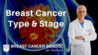 Breast Cancer Type and Stage What You Need to Know [upl. by Namhcan]