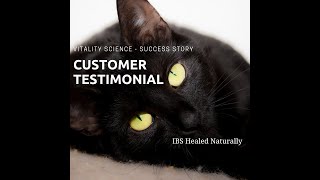 Testimonial Natural Cat Medicine Successfully Treats IBD and Low Grade Lymphoma  Vitality Science [upl. by Nilats]