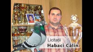 Licitatie ” Habaci Calin ” [upl. by Ahtaga136]