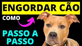 Como ENGORDAR CACHORRO RÁPIDO E DEIXAR FORTE ✅Passo a passo [upl. by Akeinahs753]