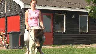 Pony Riding pony ponyriding donkey donkeyriding Buffaloriding [upl. by Liuka6]