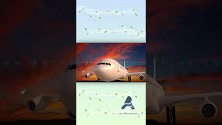 Amway Nutrilite Film  3D Character Animation  2D Animation Motion Graphics  Art Attack Animation [upl. by Nylasoj]