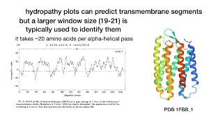 Interpreting hydropathy plots and hydropathy indexes [upl. by Erlin699]