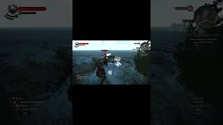 The Witcher 3 Wild Hunt XP GLITCH EASY FARM LEVEL UP 2024 [upl. by Laktasic524]