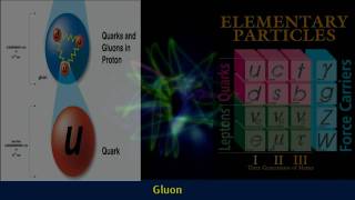 Gluons  Standard Model Of Particle Physics [upl. by Mari107]