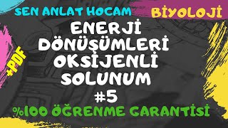 HÜCRESEL SOLUNUM KONU ANLATIMI 5  OKSİJENLİ SOLUNUM KONU ANLATIMI  PDF ✅ [upl. by Galina]