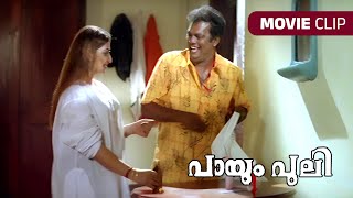 ഞങ്ങളും നല്ല ഫാമിലീസാ  Jagathy Sreekumar  Kalabhavan Mani  Salim Kumar Payum Puli Movie Scenes [upl. by Winshell297]