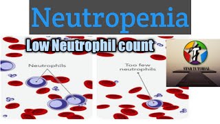 Neutropenia in hindi ll chapter10 ll hematology and blood banking [upl. by Ayn]