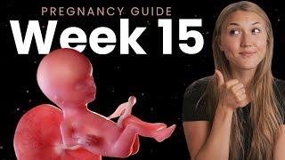 15 Weeks Pregnant  Week By Week Pregnancy [upl. by Snyder]