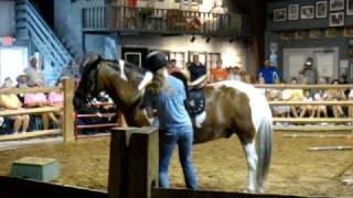 Minnow wins the Extreme Pony Race at the Chincoteague Pony Center [upl. by Brianna]