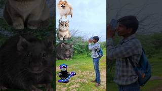 Jay harr Mahadev Hare ram hare Krishna Pet Animals VFX Calendar funny VFX video trending funny [upl. by Alenas]