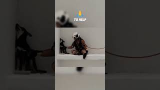 Firefighters Save Traumatized Dog in Abandoned Building [upl. by Nocaj77]