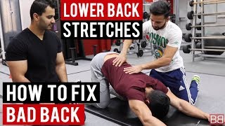 Stretches for LOW BACK PAIN Hindi  Punjabi [upl. by Oba]