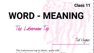 Word Meaning  Class 11 Poem  The Laburnum Top  Word Meaning Practice  Hornbill [upl. by Treve]