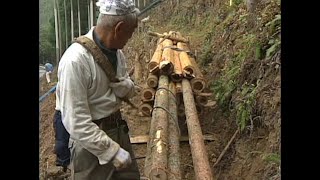 Master Craftsman Nagasawa Preserving Cultivation Techniques with Hand Tools in Modern Woodworking [upl. by Hadnama]