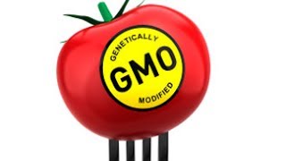 Listener Argues Against GMO Food Labeling [upl. by Eulalie]