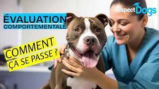 Evaluation comportementale du chien comment ça se passe [upl. by Cummins]