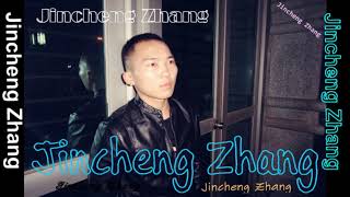 Jincheng Zhang  Collective I Love You Background Music Instrumental Song Official Audio [upl. by Hudgens]