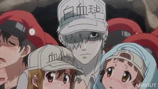 We must Protect the Platelets  Hataraku Saibou Episode 11 [upl. by Johppah]