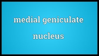 Medial geniculate nucleus Meaning [upl. by Jaylene]