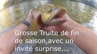 GROSSE TRUITE DE FIN DE SAISON PECHE AU LEURRE [upl. by Ardnu]