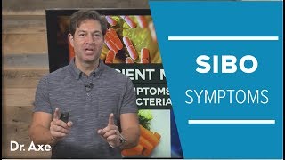 SIBO Symptoms How to Get Rid of Bacterial Overgrowth [upl. by Ytirev79]