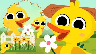 The Ducks Go Waddling Go  Kids Song for Kiddos [upl. by Merc]