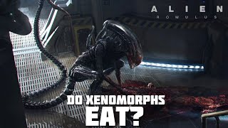 Do Xenomorphs EAT  Alien Romulus [upl. by Idel128]