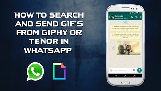 How to search and send GIFs from GHIPY all from inside WhatsApp [upl. by Schaumberger]