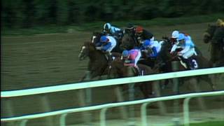 1990 Breeders Cup Classic [upl. by Latin571]