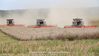 3x Claas 8900  Fendt  Rapsernte  Canola Harvest 2020 [upl. by Canice163]