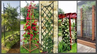 trellis ideas for vegetable garden  outdoor trellis ideas [upl. by Piegari]