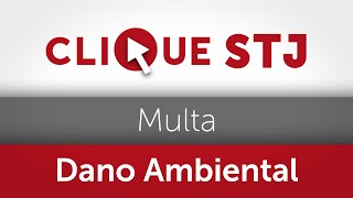 Multa administrativa por dano ambiental não é transmitida a herdeiros [upl. by Niroc505]