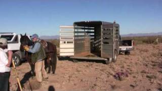 Harry McElroy Desert Hawking [upl. by Melda]