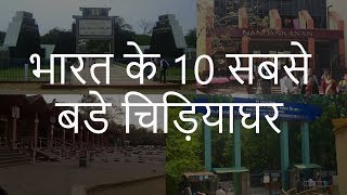 भारत के 10 सबसे बडे चिड़ियाघर  Top 10 Biggest Zoos in India  Chotu Nai [upl. by Amathist]