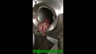 Vacuum Meat Tumbler GR500 Meat Marinating Machine [upl. by Trebron42]