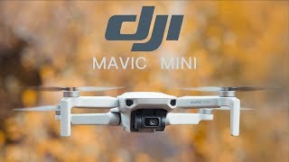 TEST du DJI Mavic mini  Le drone parfait pour débutants [upl. by Gnok]